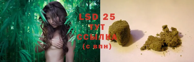 наркота  Обнинск  LSD-25 экстази ecstasy 